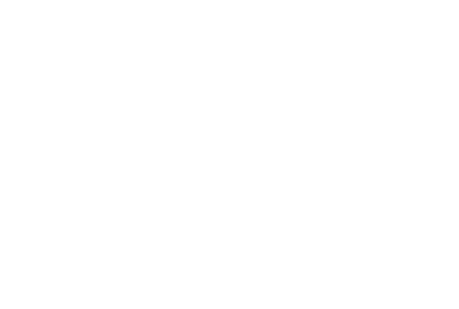 RN Consulting light